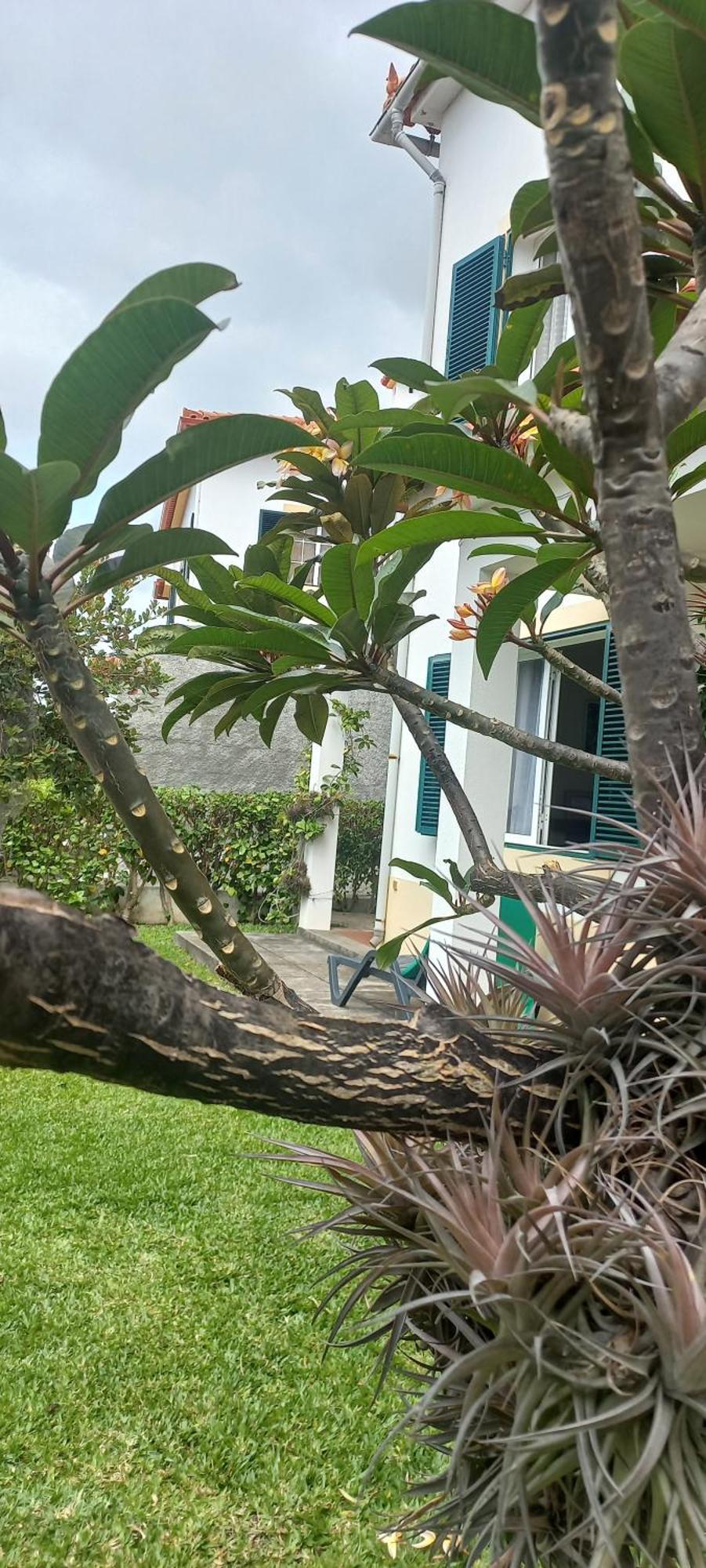 Villa Cosy Nook Funchal  Exteriér fotografie